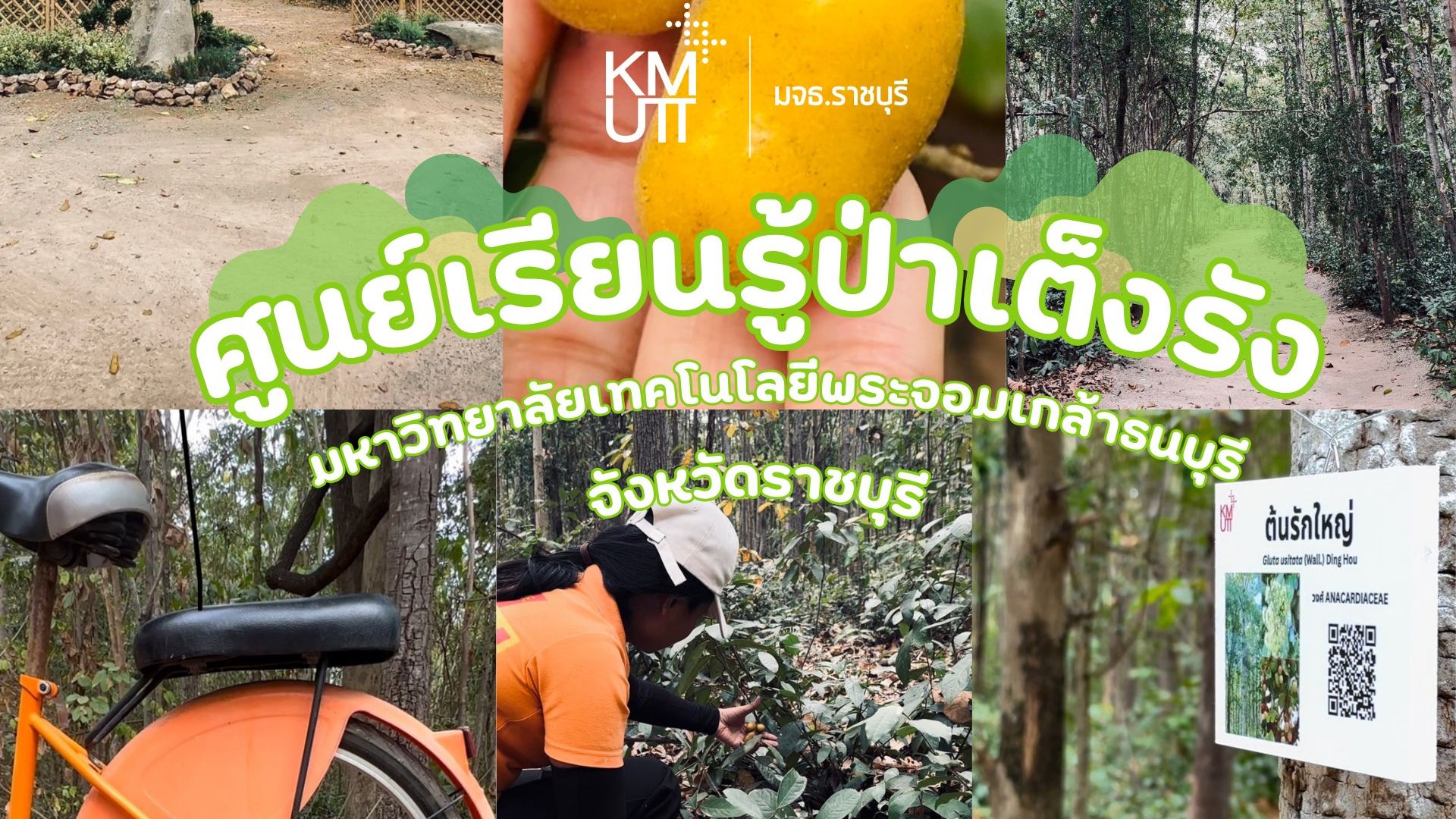 PRsent ป่าเต็งรัง RC.jpg