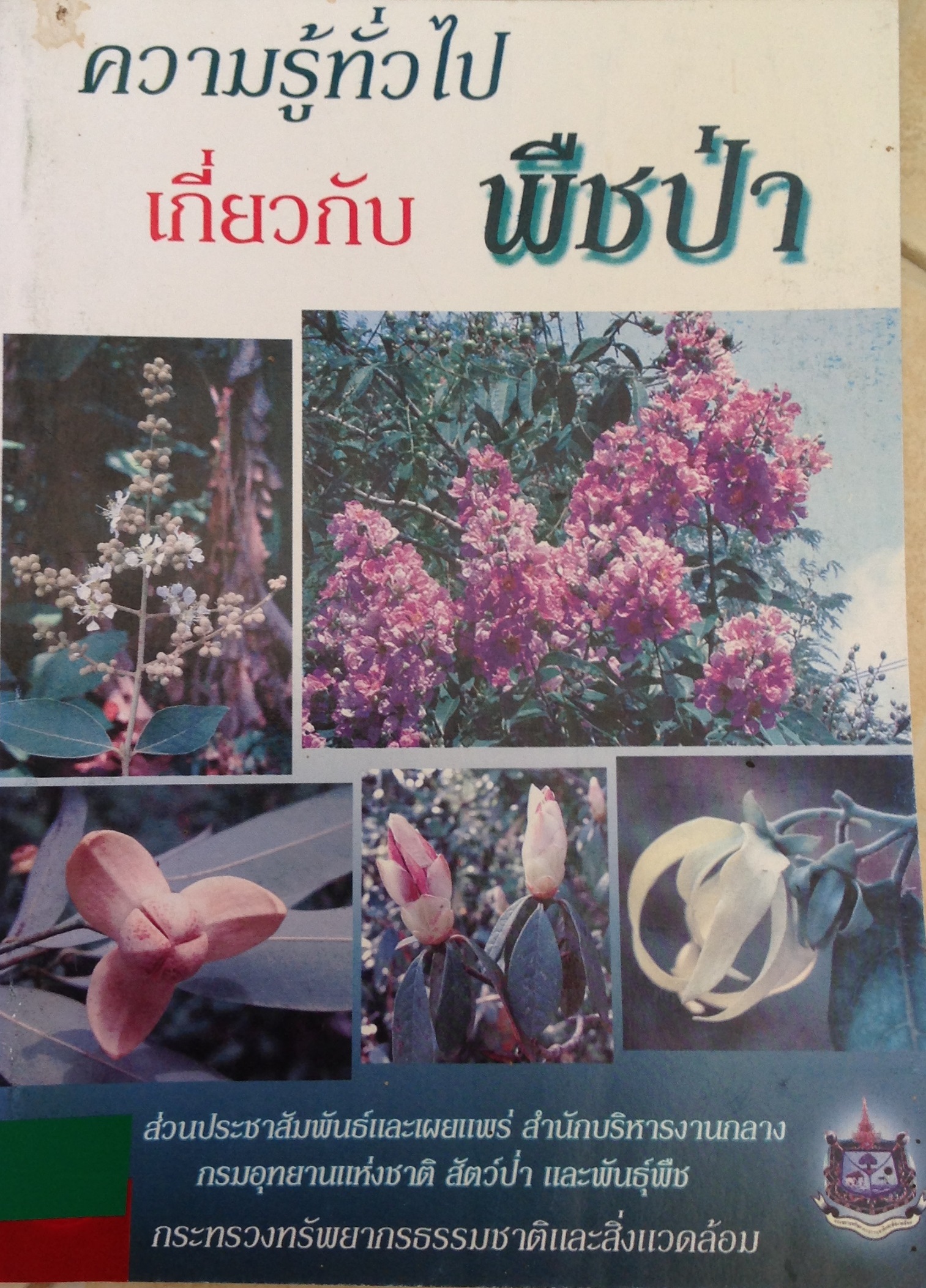 ปก1117.JPG