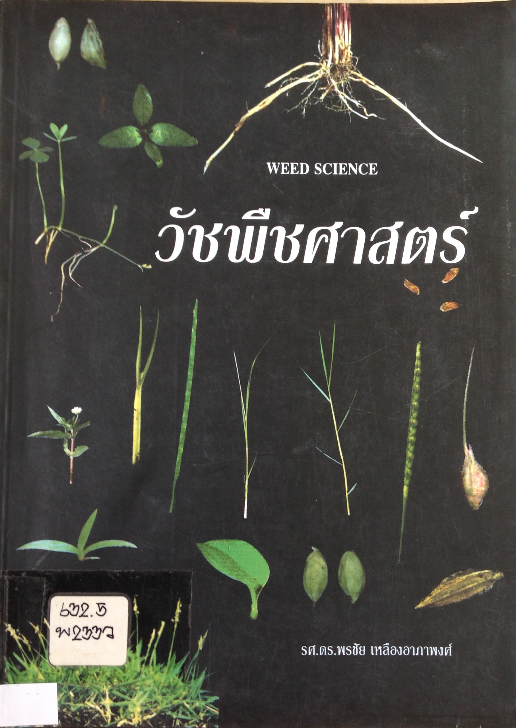 ปก1221.JPG