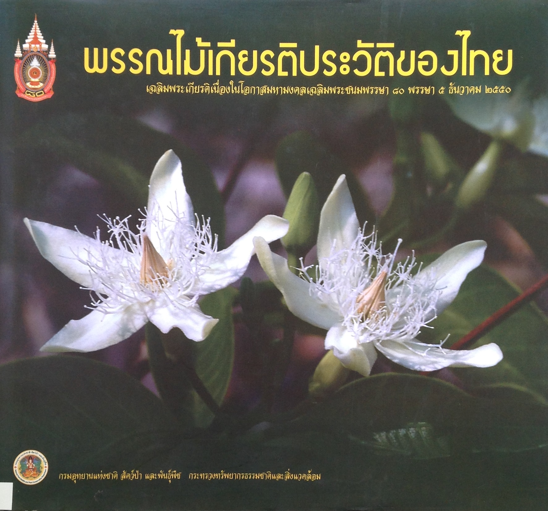 ปก1228.JPG