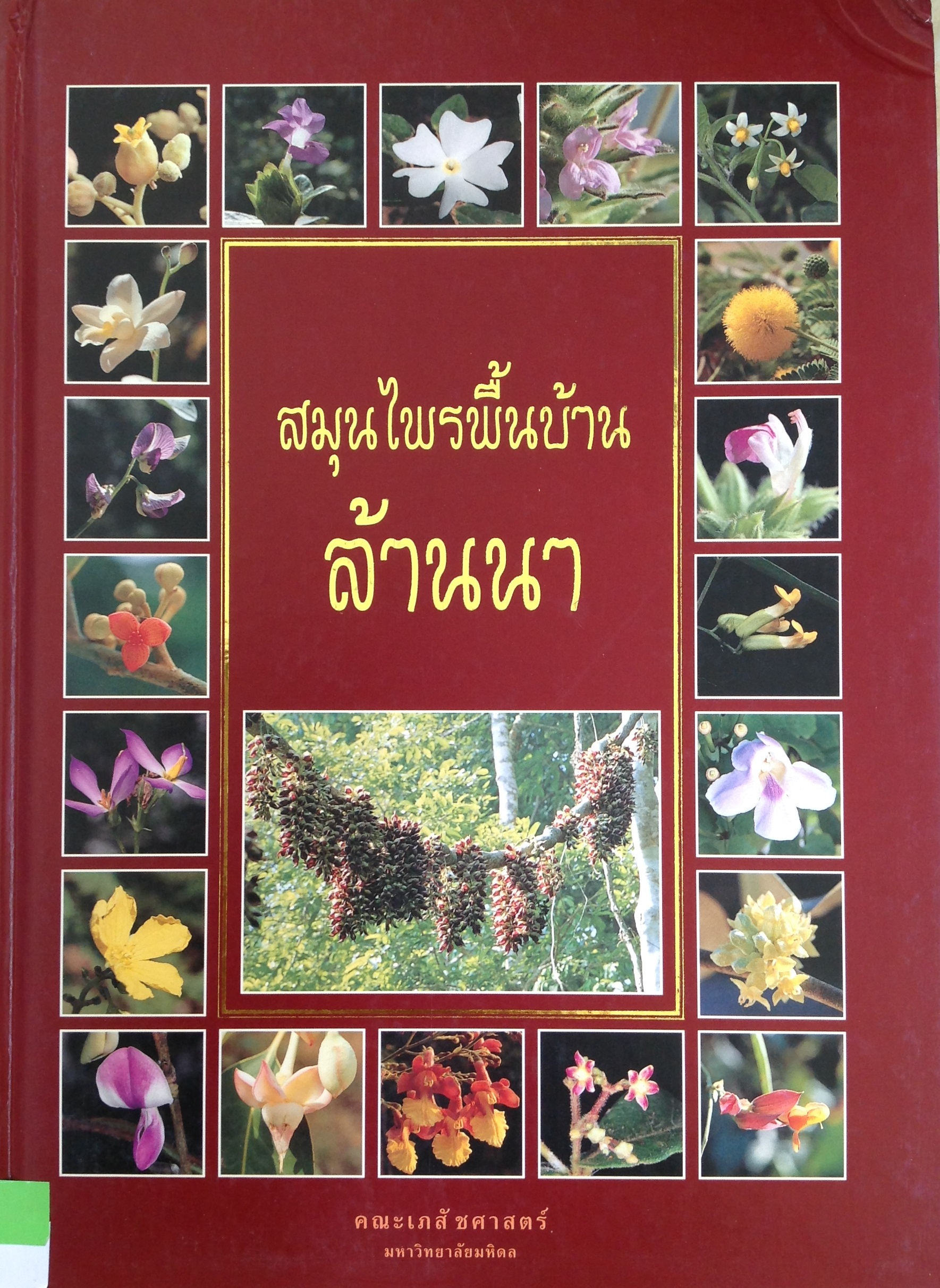 ปก1240.JPG