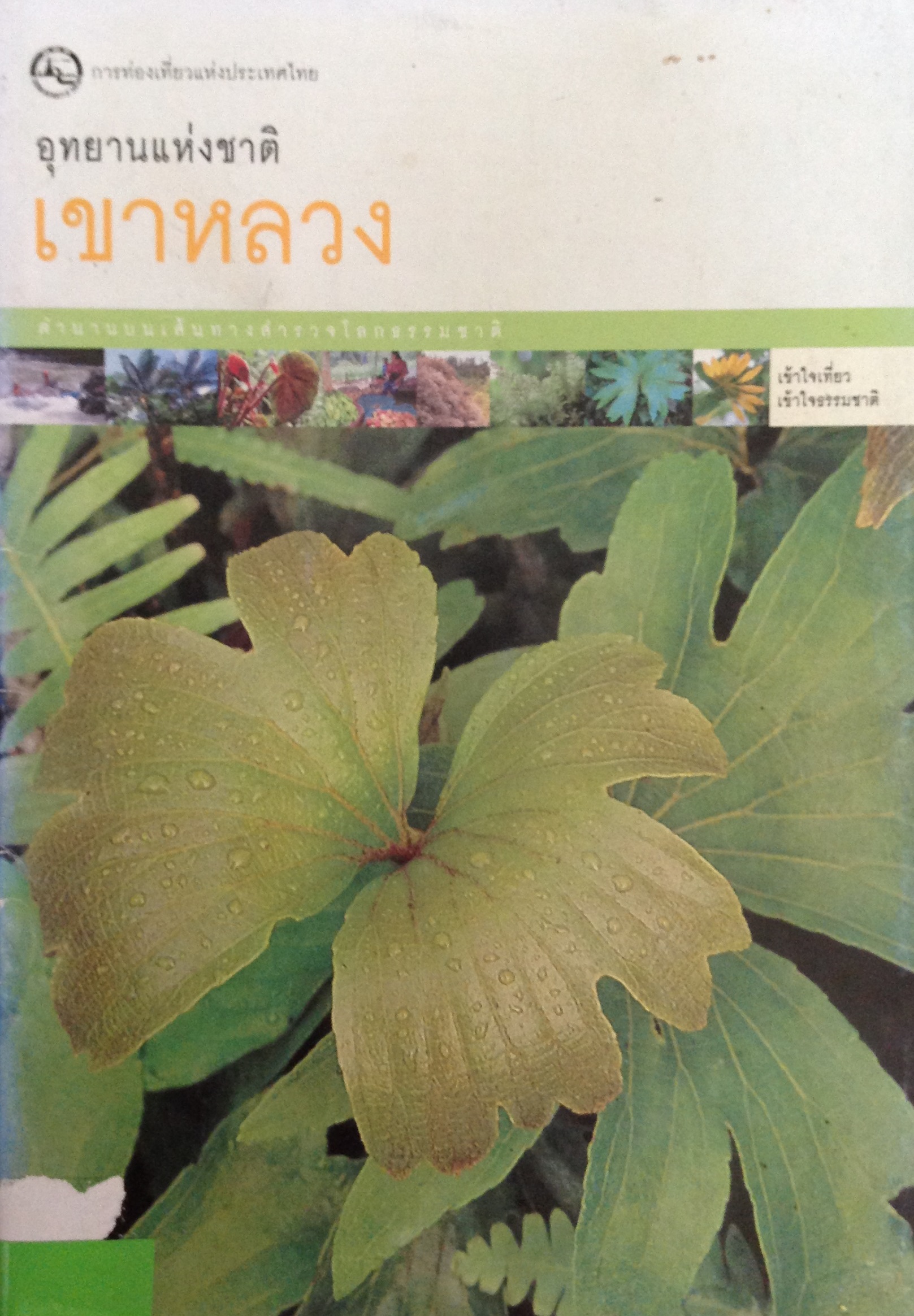 ปก906.JPG