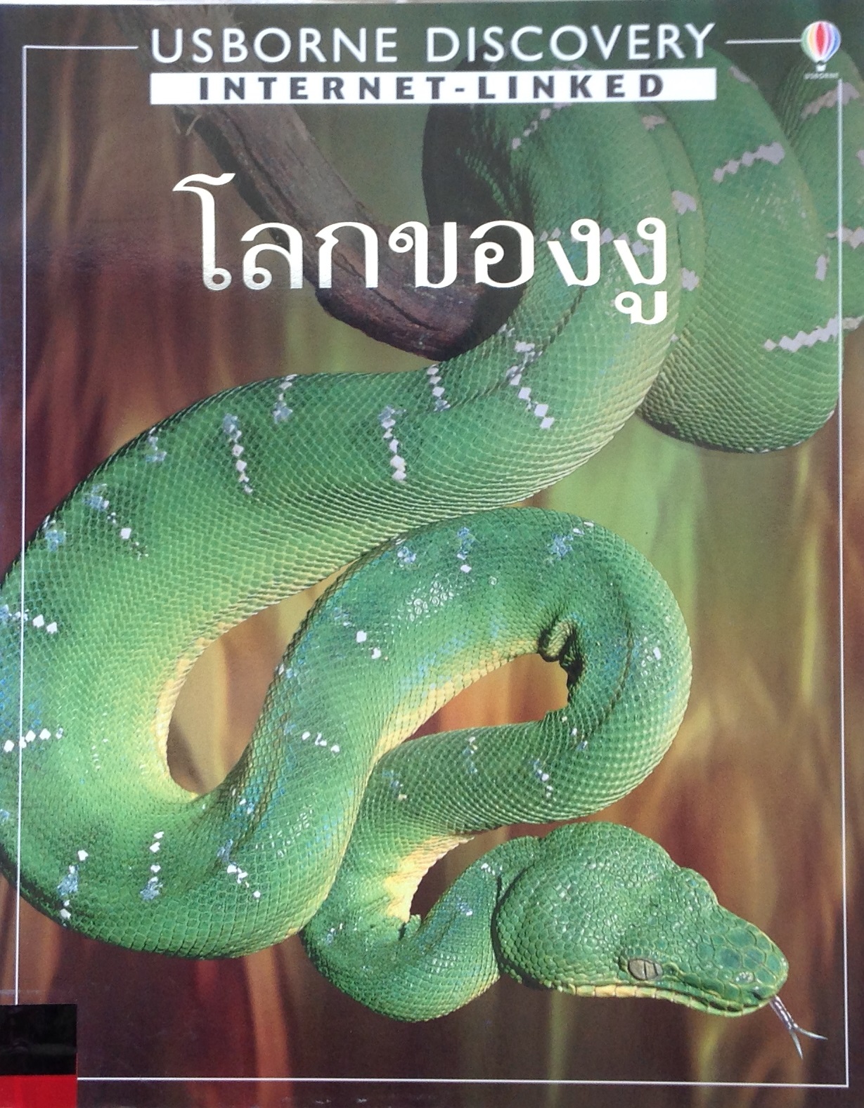 ปก989.JPG