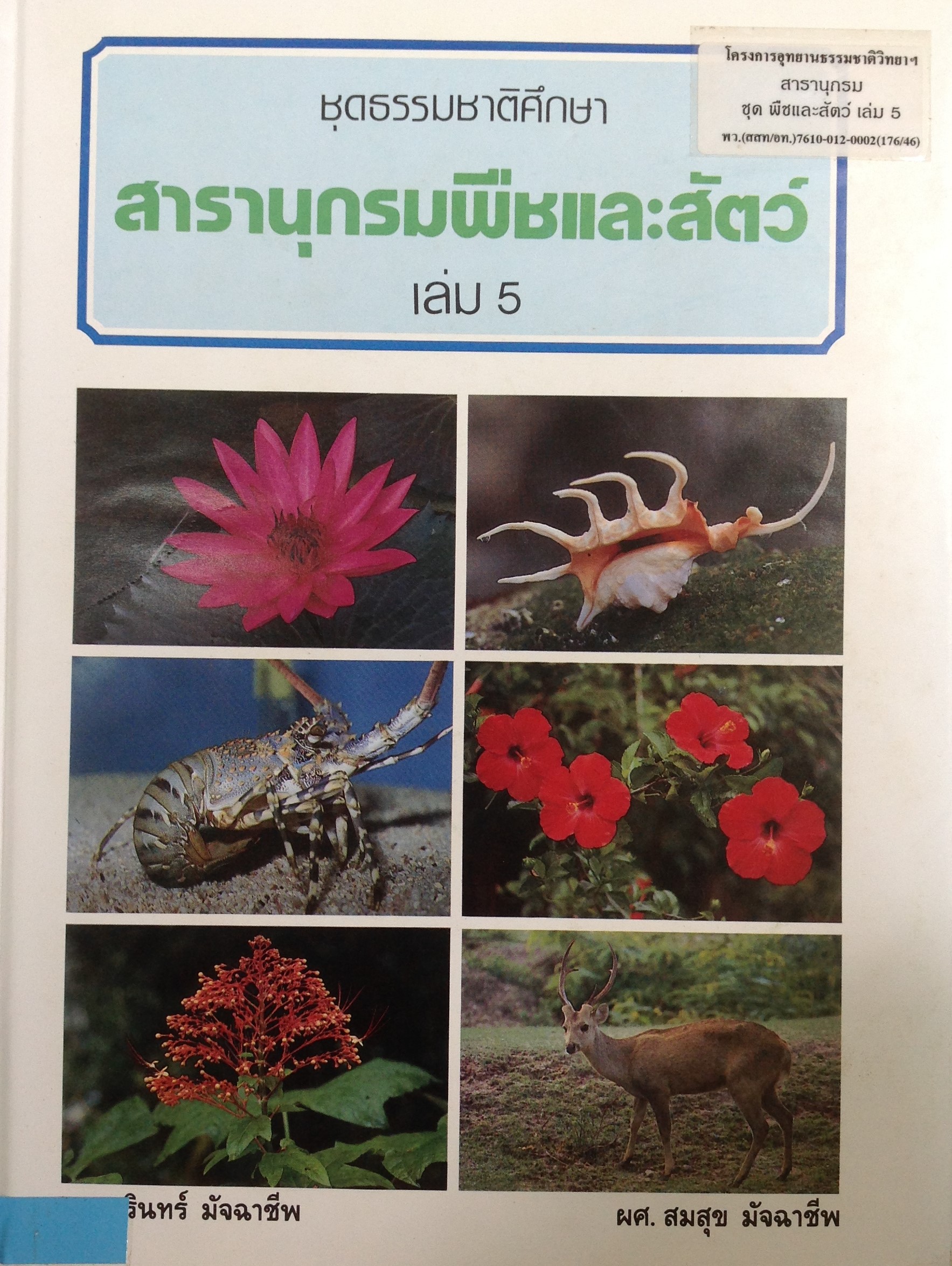 ปก73.JPG