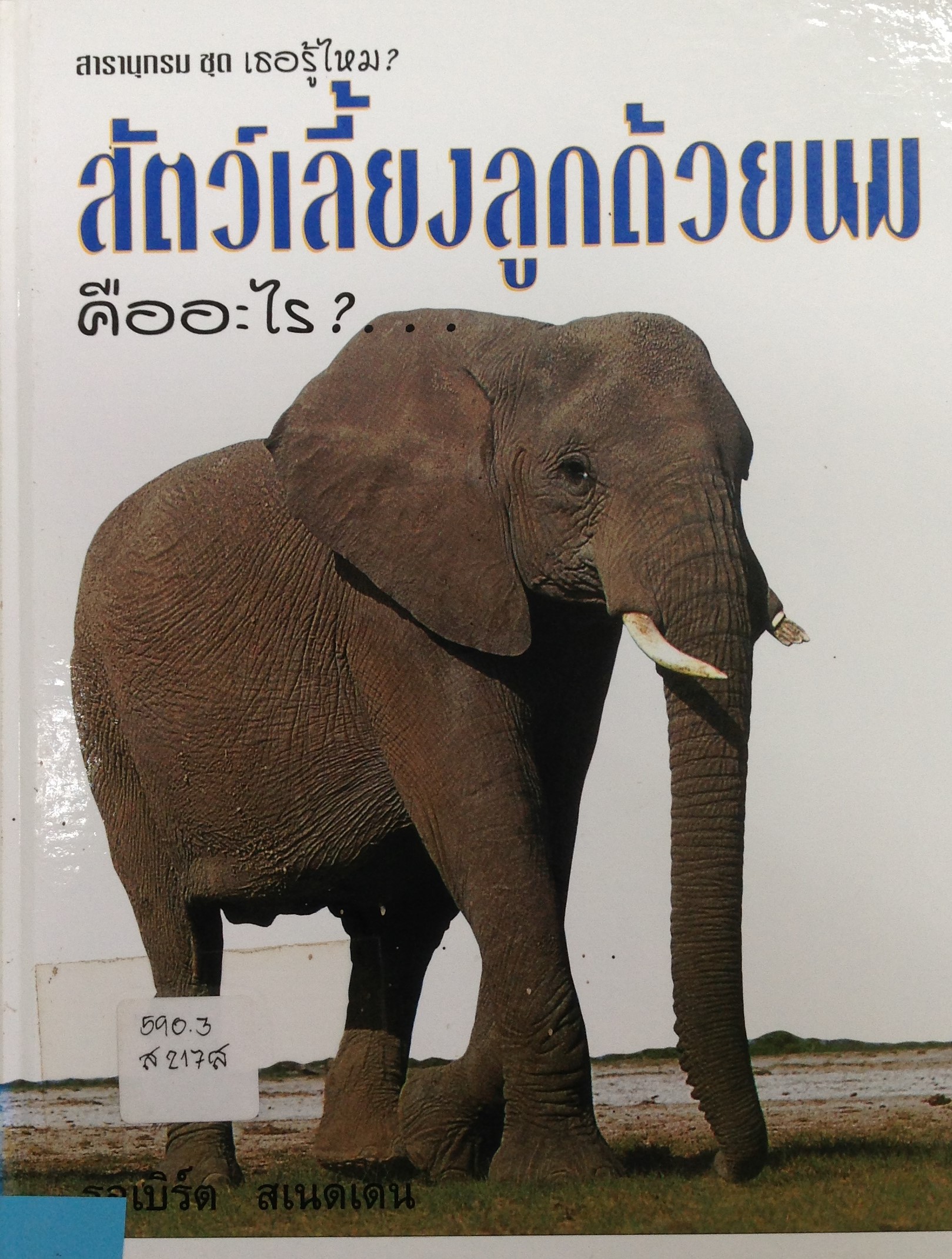 ปก185.JPG